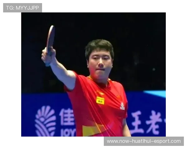 羽毛球弹地球反弹得分——你的运动新体验